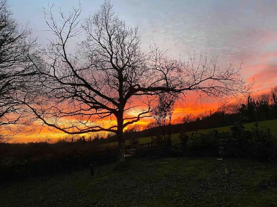 Beautiful Renovated Former Coach House Llandeilo Luaran gambar